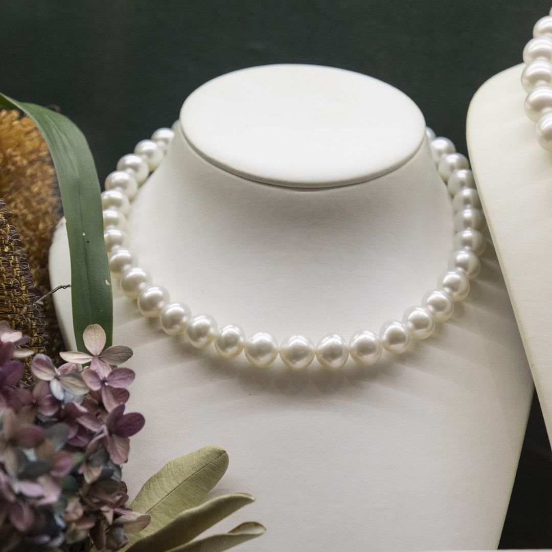 PASPALEY x EveryBODYknowsMARS DINNER