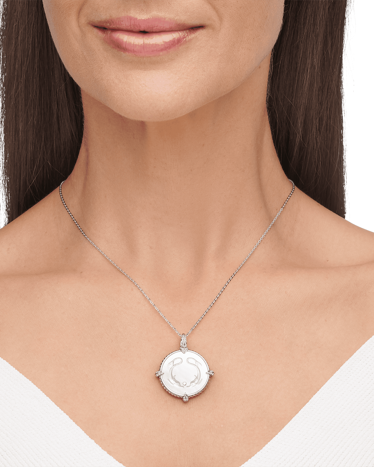 Dolphin Coin Charm | Mother of Pearl, Diamonds, and White Gold 4