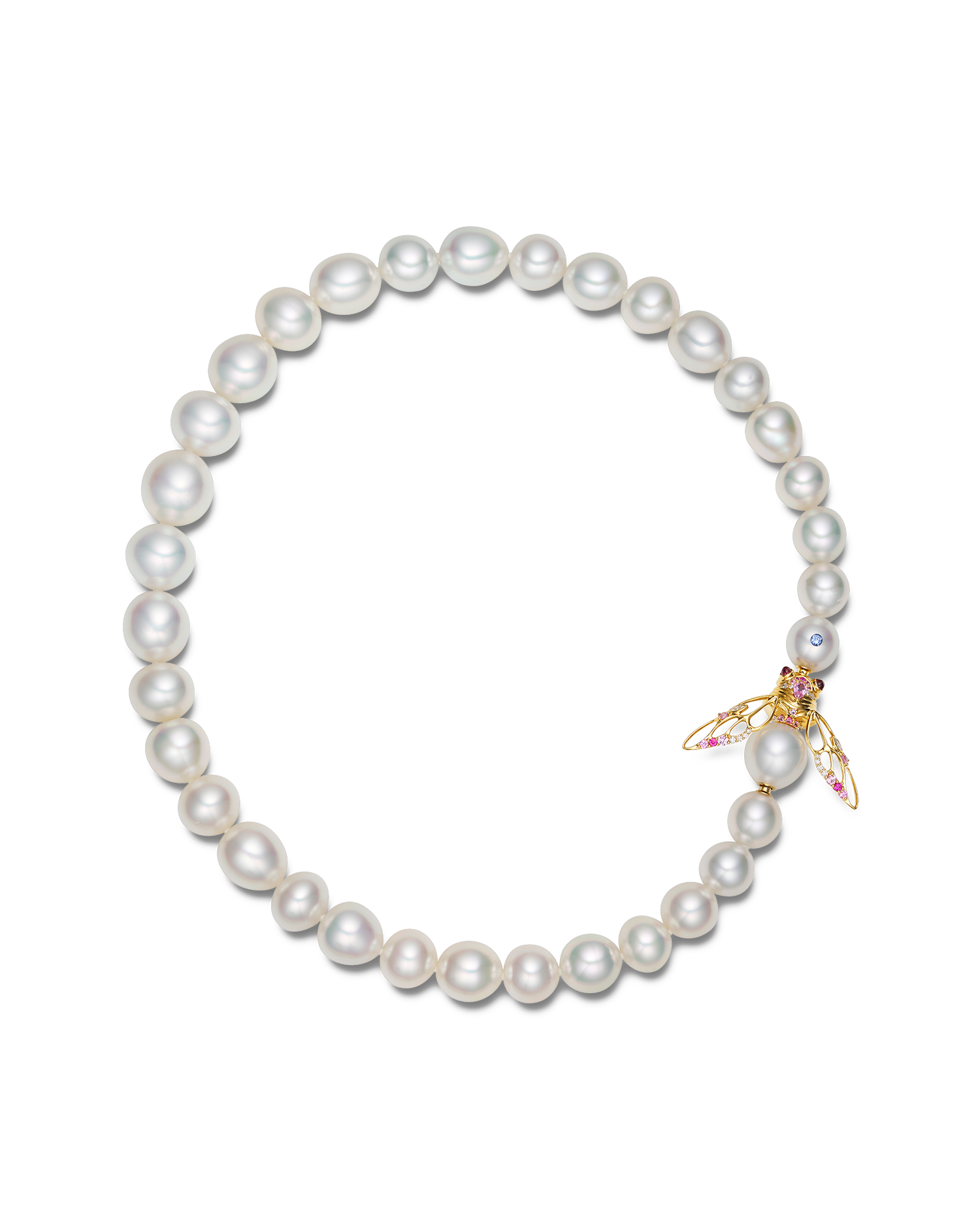 Blushing Cicada Pearl Clasp | 12mm Drop Pearl, Pink Sapphire, and Yellow Gold