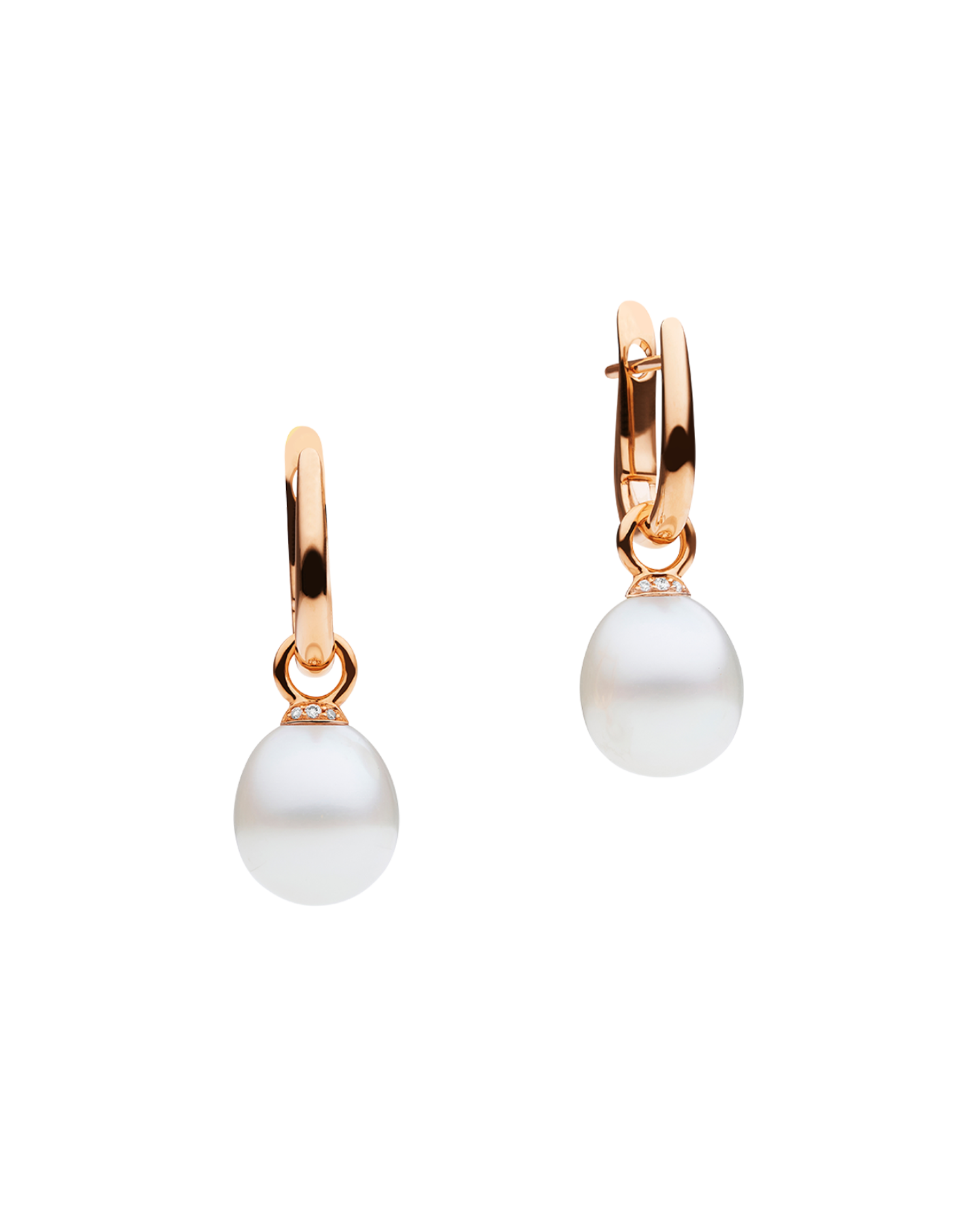 Pearls My Way Pearl Earrings in Rose Gold 10mm Oval DRPO10C16E02R C16E02R + C16AE03RPO10