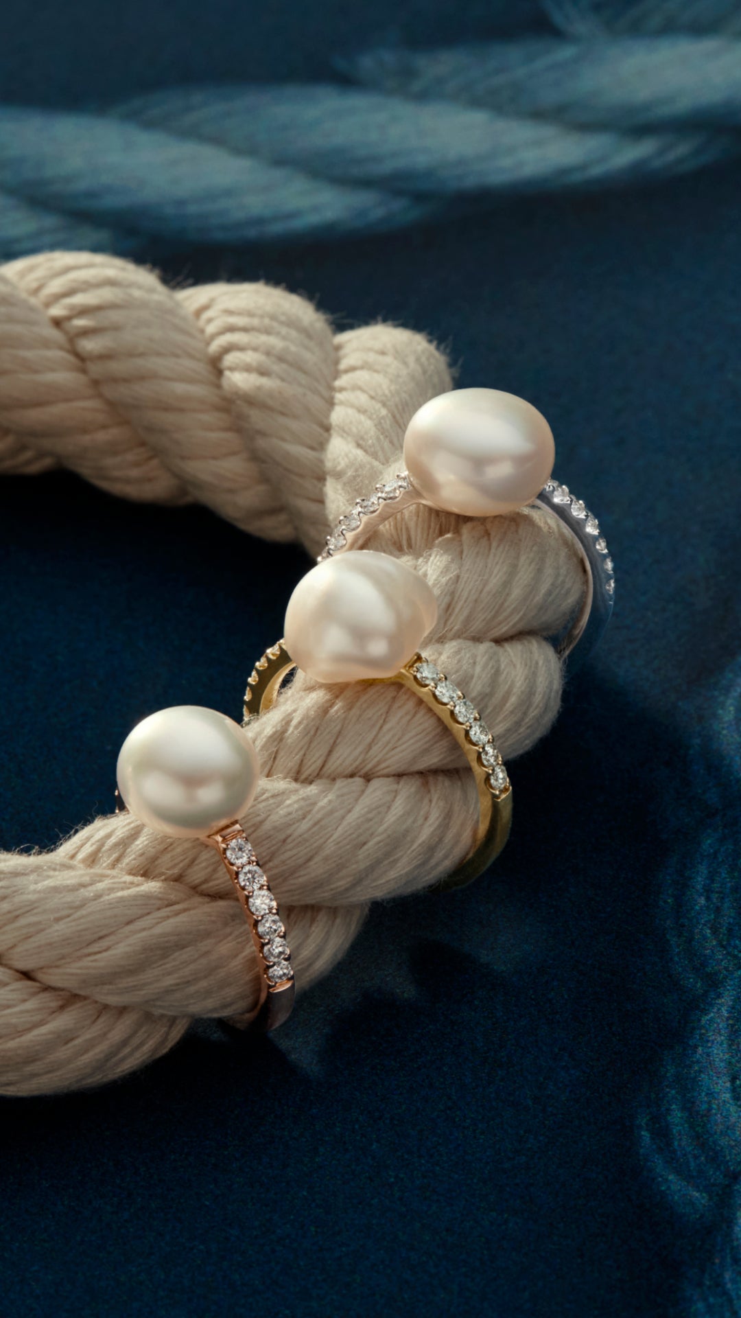 Rings Collection Tall Promo