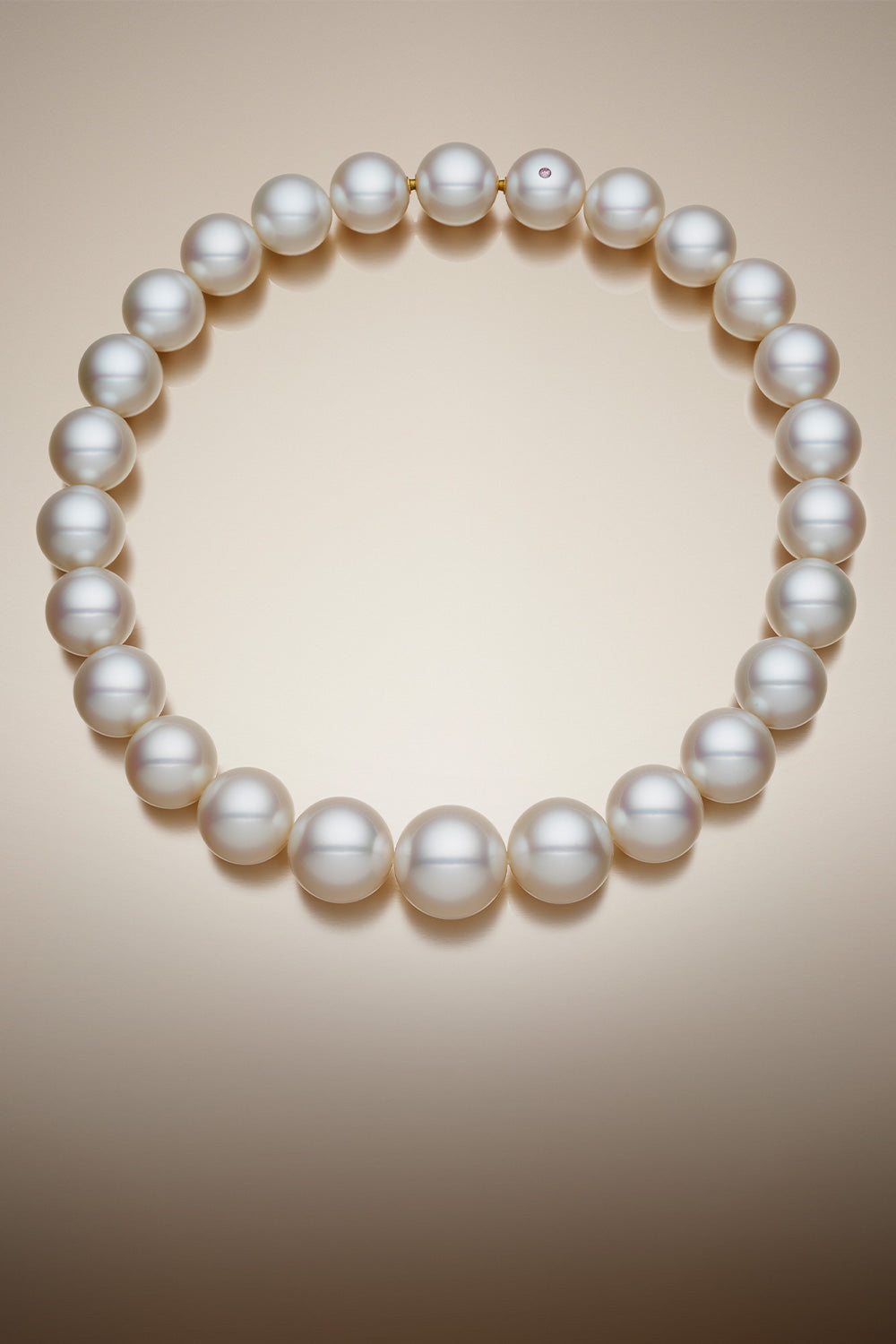 Super Strand Plp Tall