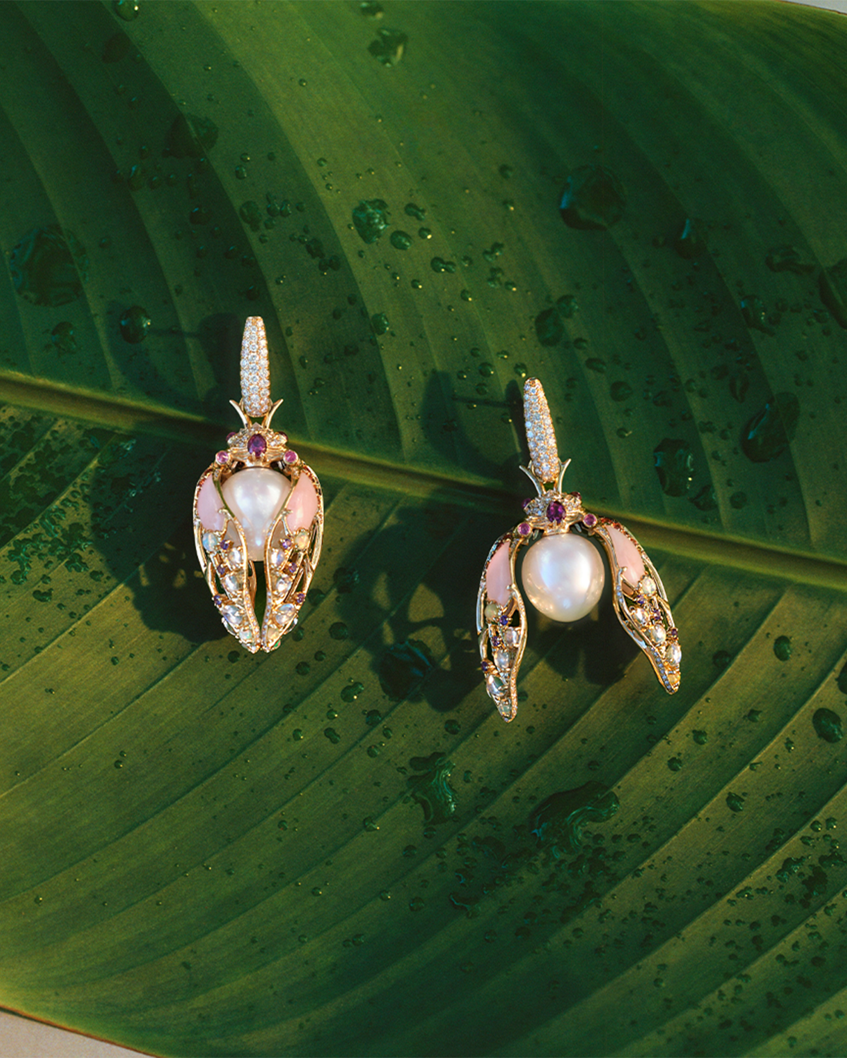 Blushing Cicada Earrings