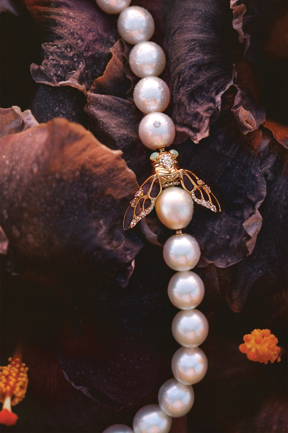 Clasp Tall Plp