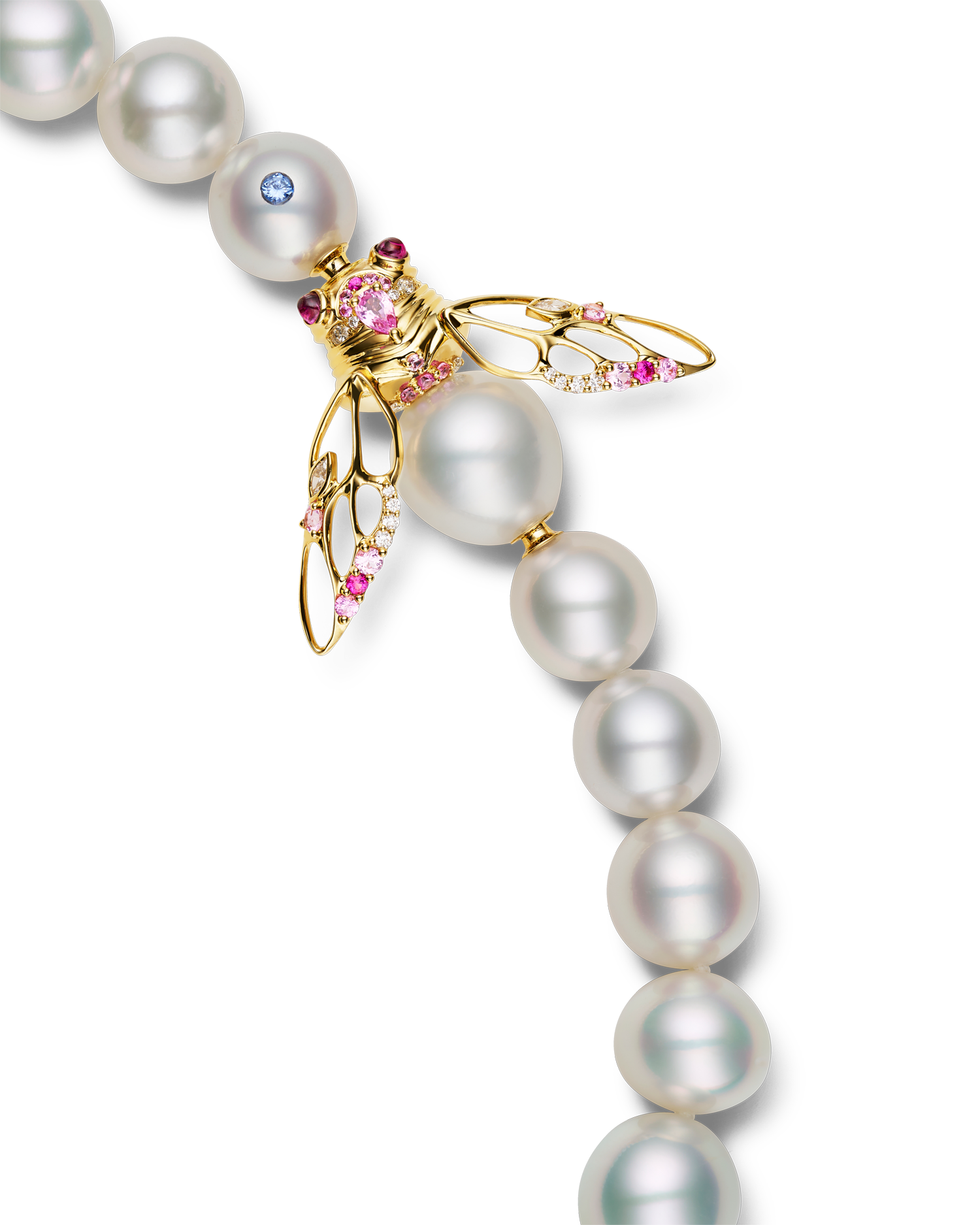 Blushing Cicada Pearl Clasp | 12mm Drop Pearl, Pink Sapphire, and Yellow Gold