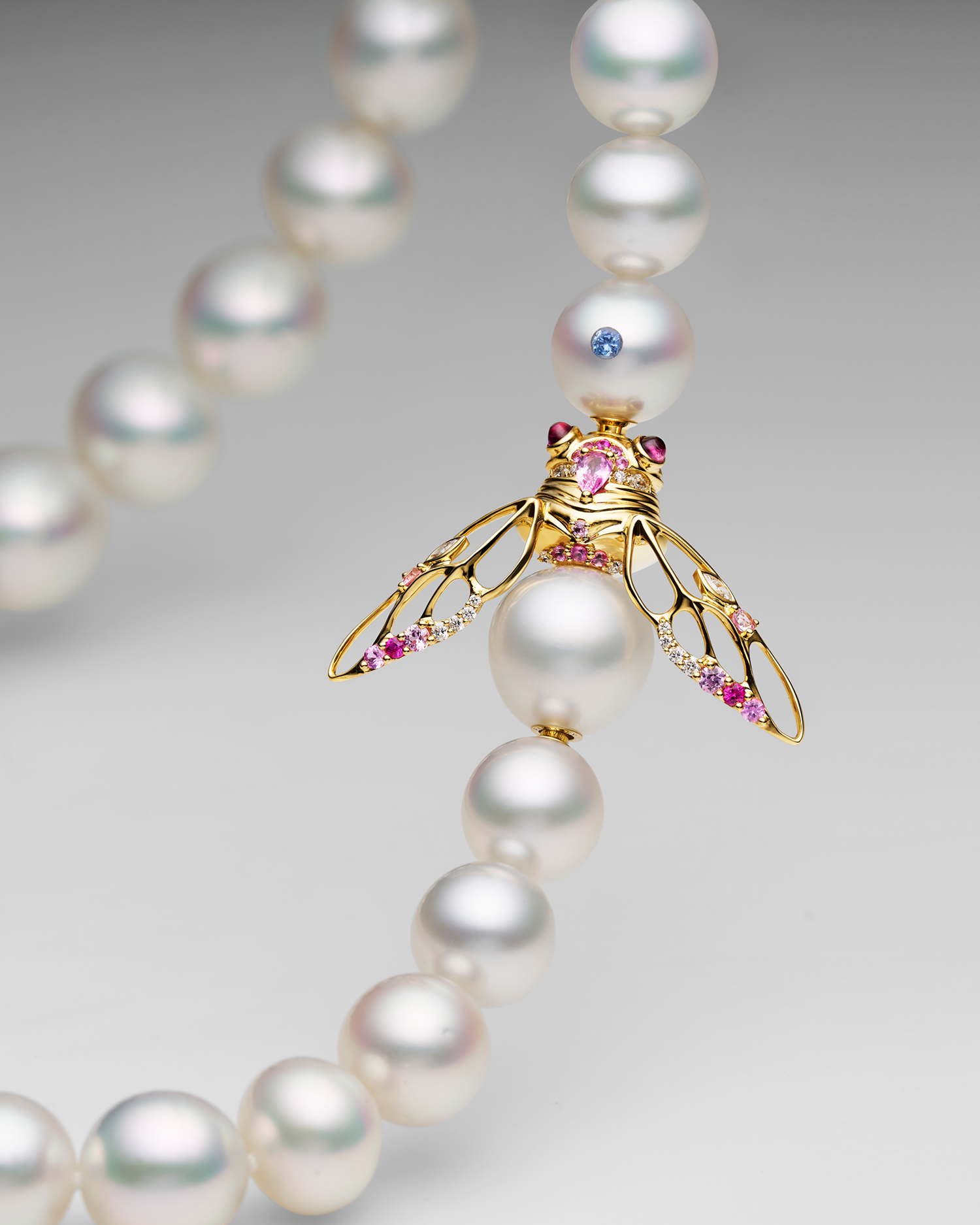 Blushing Cicada Pearl Clasp | 12mm Drop Pearl, Pink Sapphire, and Yellow Gold