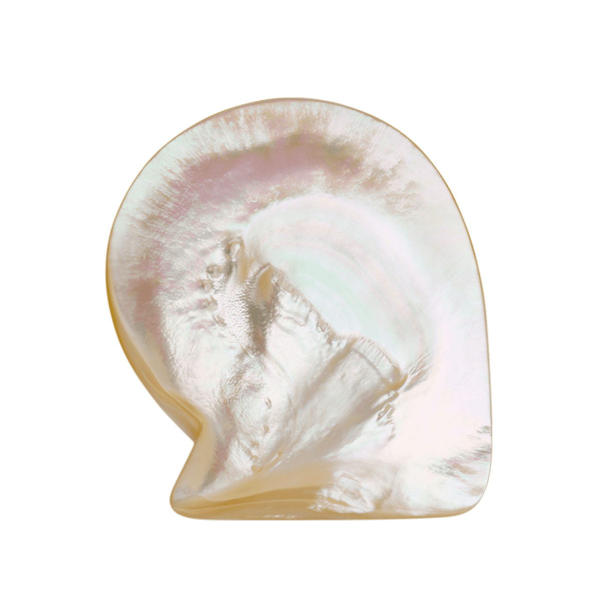 Paspaley_Australian_South_Sea_