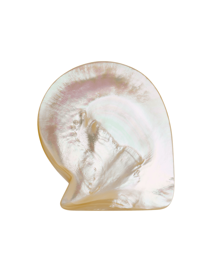 Paspaley Australian South Sea Mother-of-Pearl Shell
