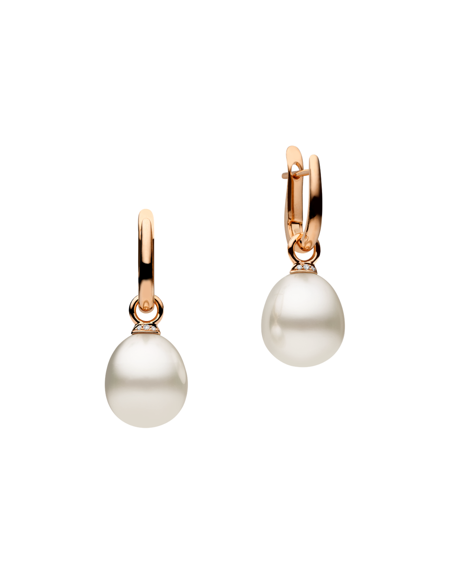 Pearls My Way Earrings in Rose Gold 12mm Oval DRPO12C16E02R