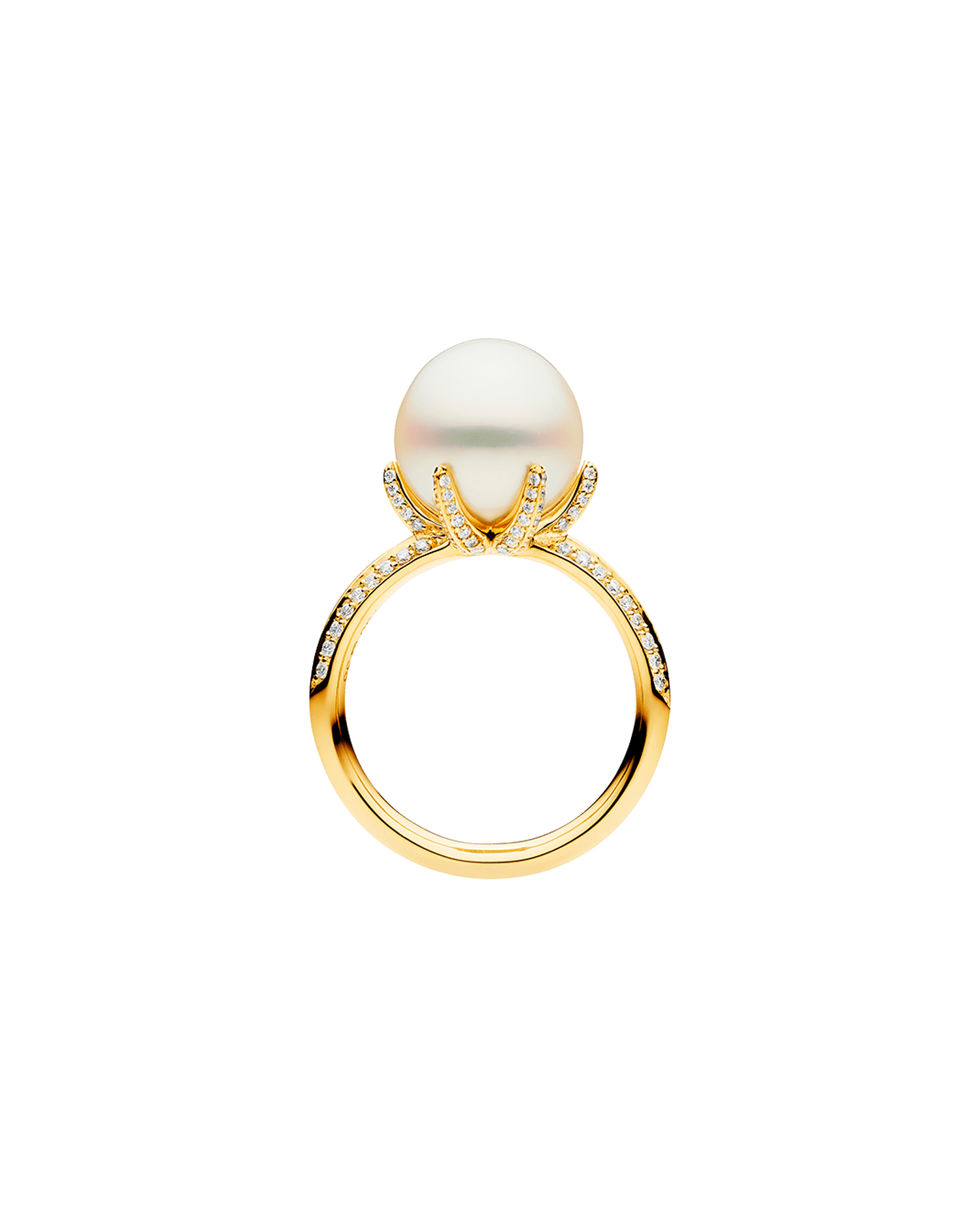 Rockpool Pearl Ring | 11mm Round Pearl, Diamonds, and Yellow Gold 2