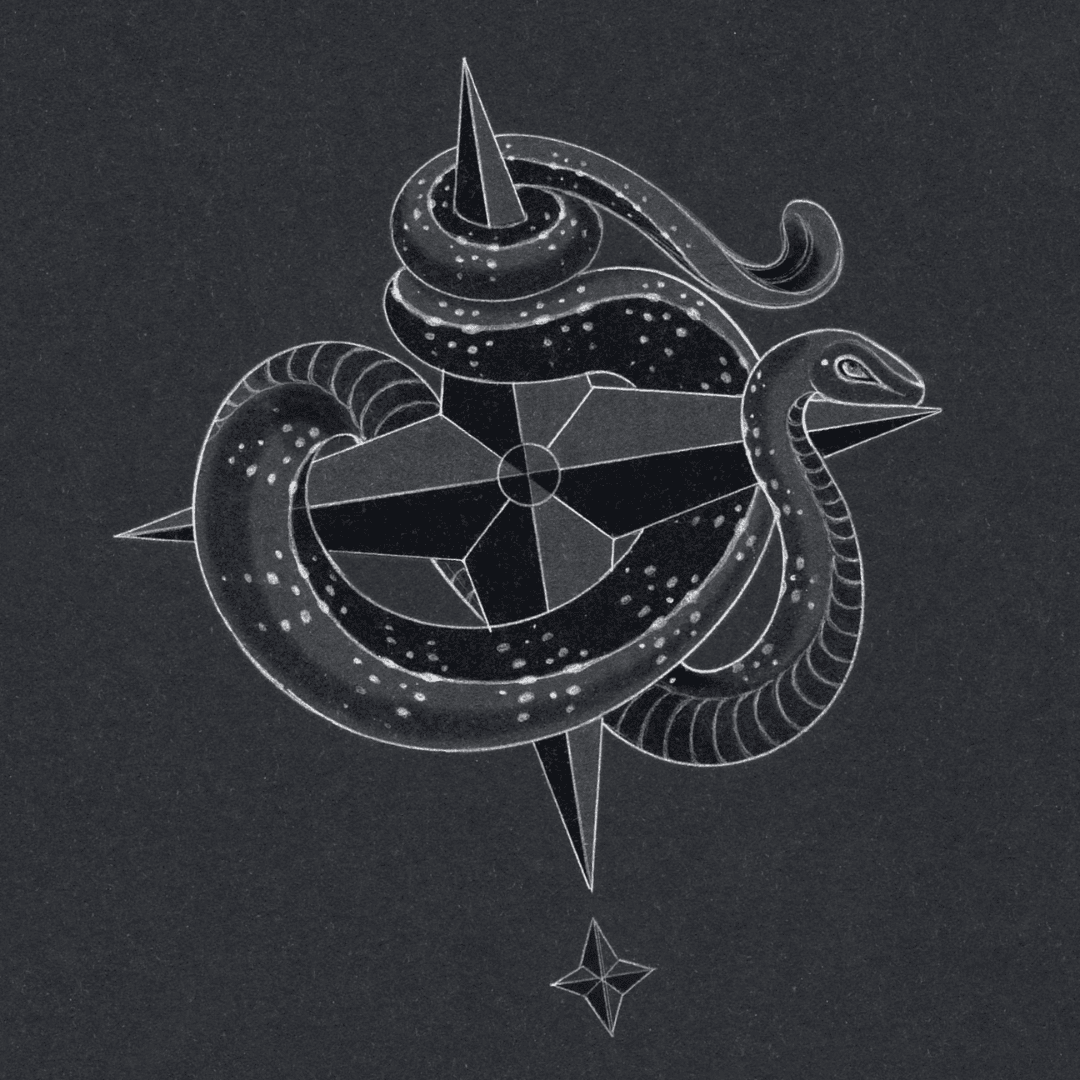 Paspaley Year Of The Snake Coin Charm in Diamond and Yellow Gold
