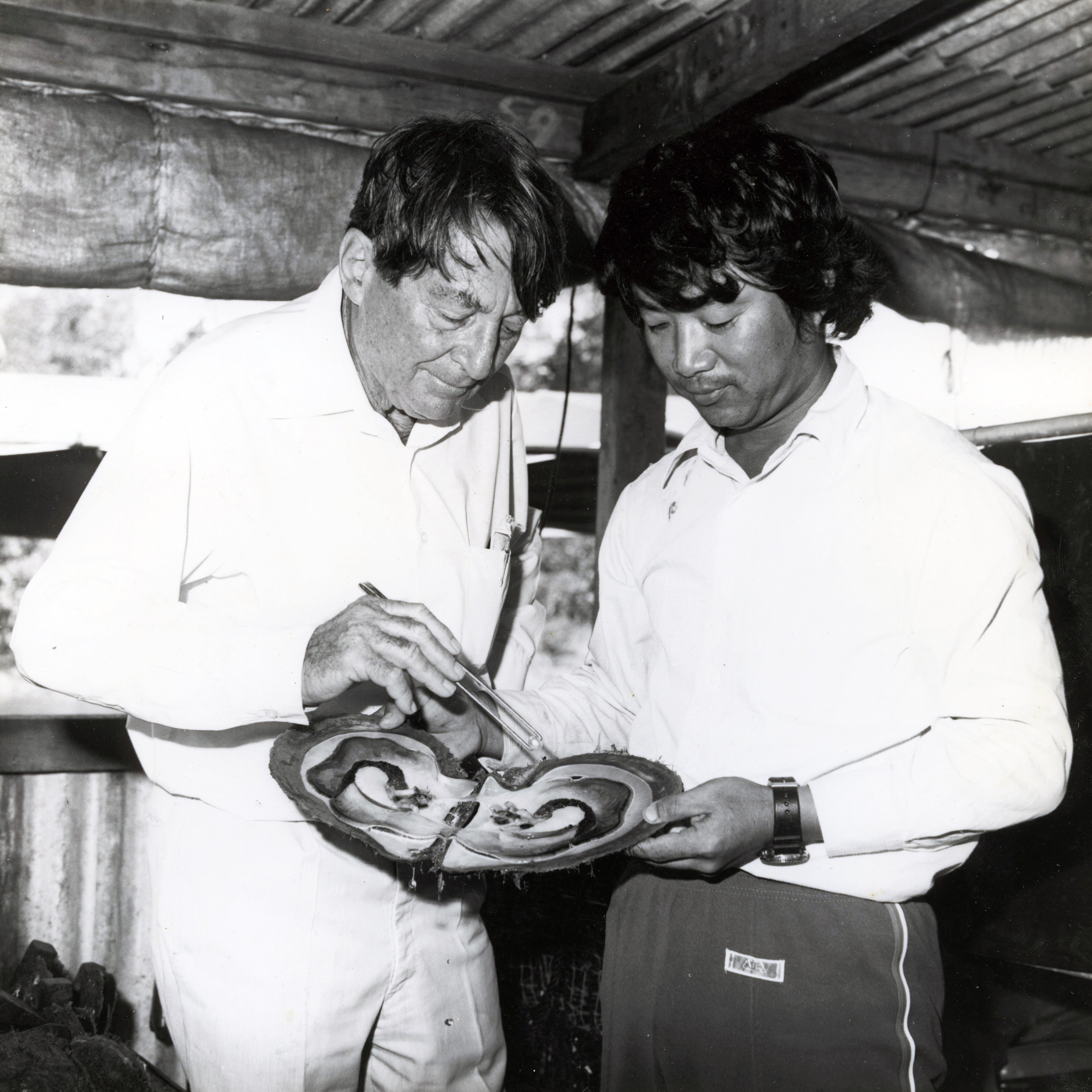 Paspaley 90 Years Heritage Campaign reflecting 90 years of innovation in pearl cultivation and craftsmanship