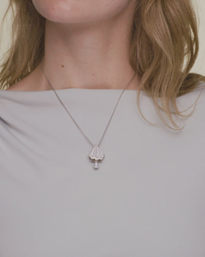 Clam Shell On Body WG X17P11WKQ06